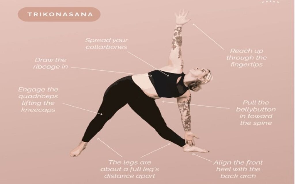 Extended Triangle Pose