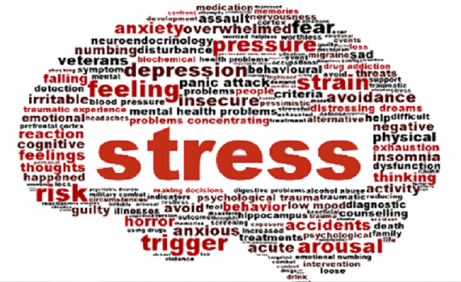 stress causes